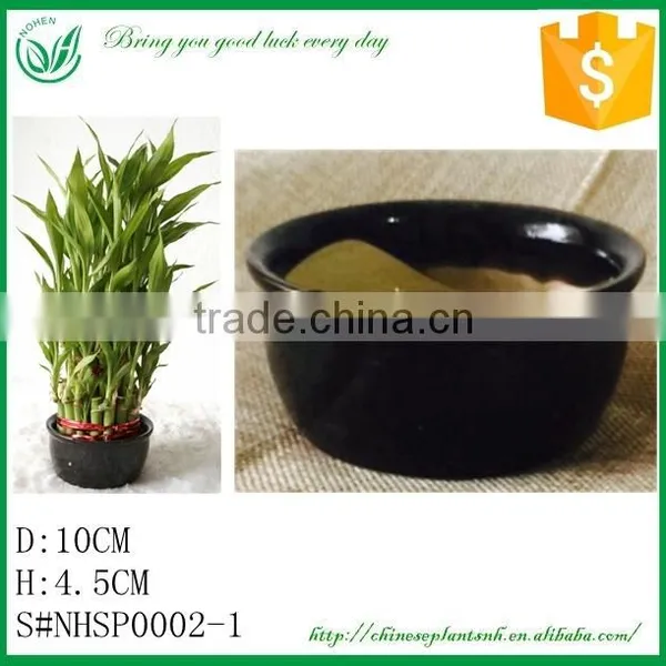 Ceramic Flower Pot