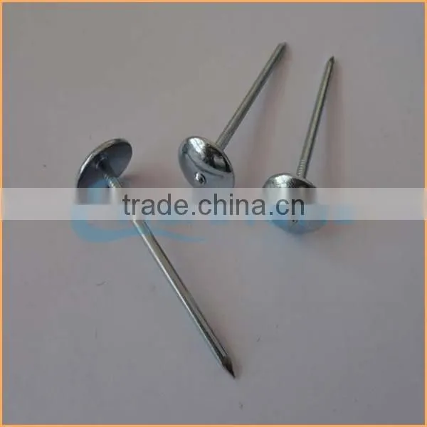 Top Quality Roofing Nails/clout Nails Trusted Chuanghe Suppliers From Com photo-4