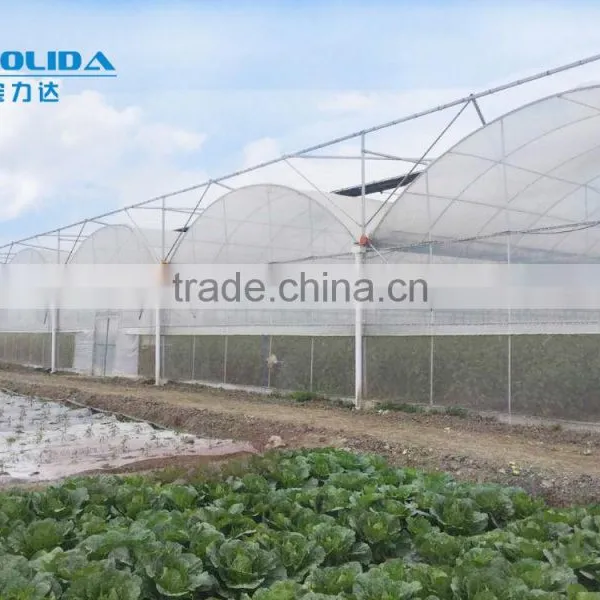 Baolida Multi-span Greenhouse PE Film Green House Used Greenhouse for Tomato photo-5