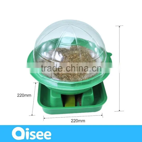 Hydroponic Planting Set for Kids Learning- Biology Lab Kit photo-5