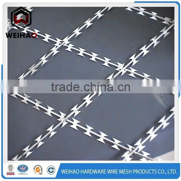 BTO22 Welded Typed Razor Barbed Wire Mesh photo-3