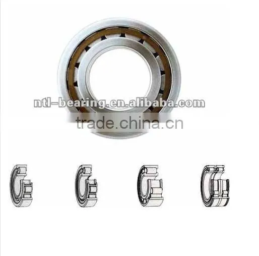 SL045034 PP Cylindrical Roller Bearing