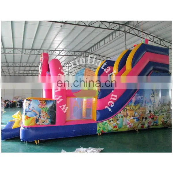 2017 Aier Nice and Cheap Giant Inflatable Slide for Sale/Princess Themed Inflatable Pool Slide/slide Inflatable photo-3