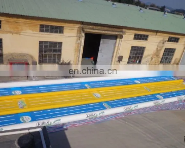 Giant Inflatable Water Slip for Sale photo-3