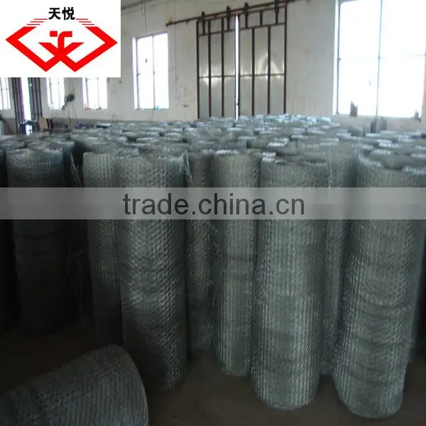 PVC Coated/Galvanized Hexagonal Wire Netting/Mesh (factory) photo-6