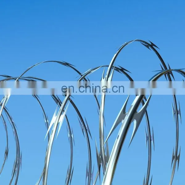 Barbed Wire Coil Galvanized Cross Razor Wire for Railway Galvanized Wire photo-5