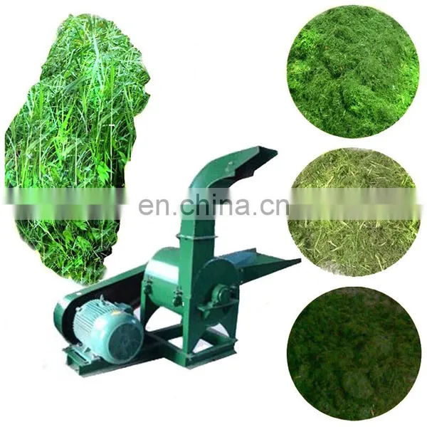 Easy Operated Electric Manufacture Cow Farm Dry and Fresh Corn Straw Feed Forage Grass Maize Silage Chopper Machine photo-5