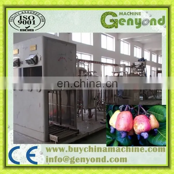 Complete Cashew Apple Juice Production Line / Cashew Apple Processing Machine photo-5