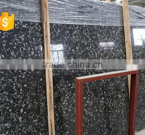 Cheaper Superior Supply Black Fossil Marble Decorative Wall Tile photo-5