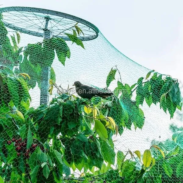 HDPE Grape Protection Net Anti Bird Net Agricultural Vineyard Hail Protection Net photo-2