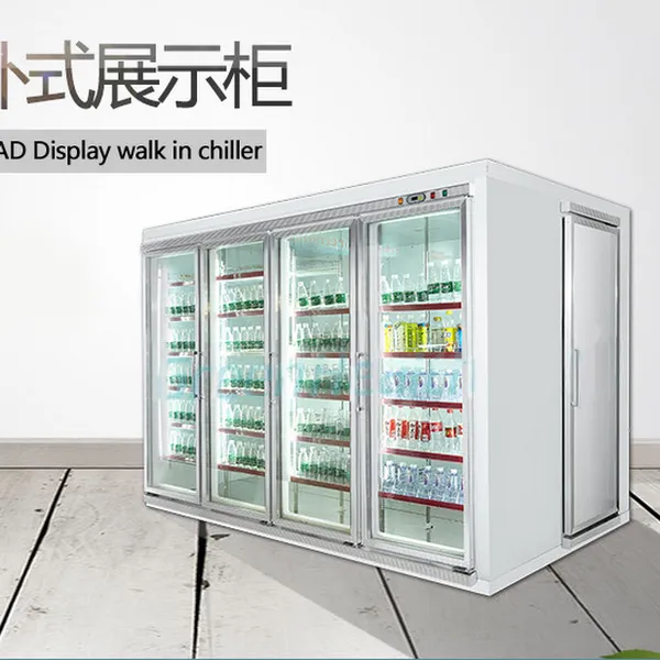 Walk-In Showcase Cold Room