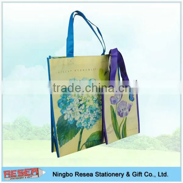 Reusable Shopping Bag