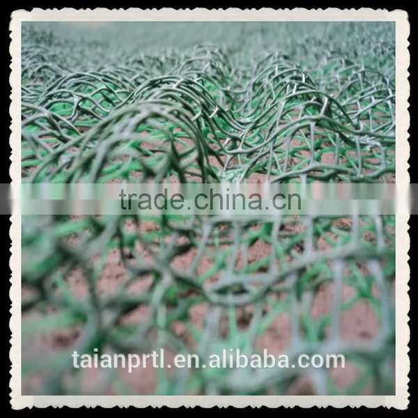 Plastic Geomat( HDPE 3D Grass Mat Green EM2-EM5) photo-3