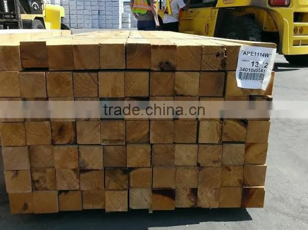 PREMIUM GREEN TIMBER photo-3