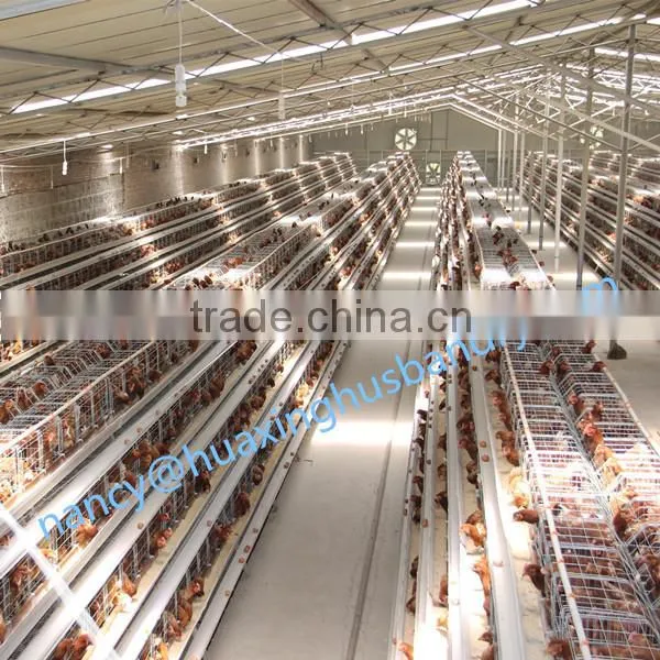 Varioties Functions Battery Broiler Chicken Cage for Broiler or Breeding Chicken photo-6