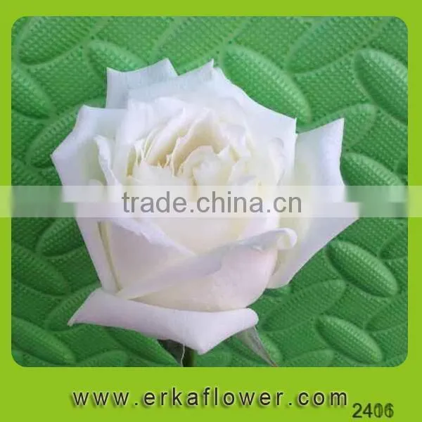 Good Smell 2016 Hot Sale New Added Flower Product Rose photo-6