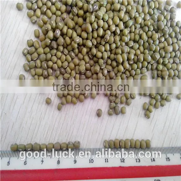 Green Mung Beans(2014 Crop) photo-6
