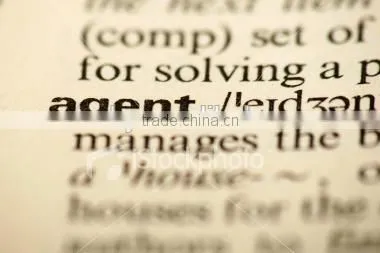 Agent Service / Inspection Agent