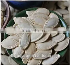 Shine Skin Pumpkin Seeds Wholesale Raw Material photo-4