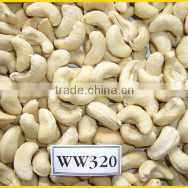 Vietnam Nutritious Cashew Nuts for Exporting photo-3