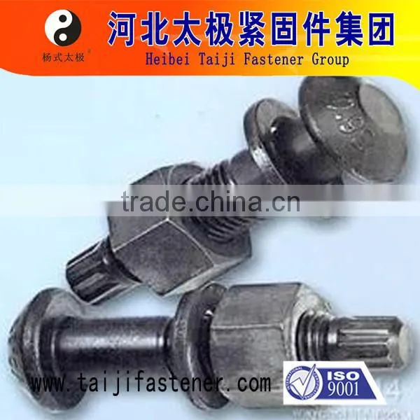 Structure Tor Shear Type High Tensile Bolt With Hex Nut and Plain Washer photo-3