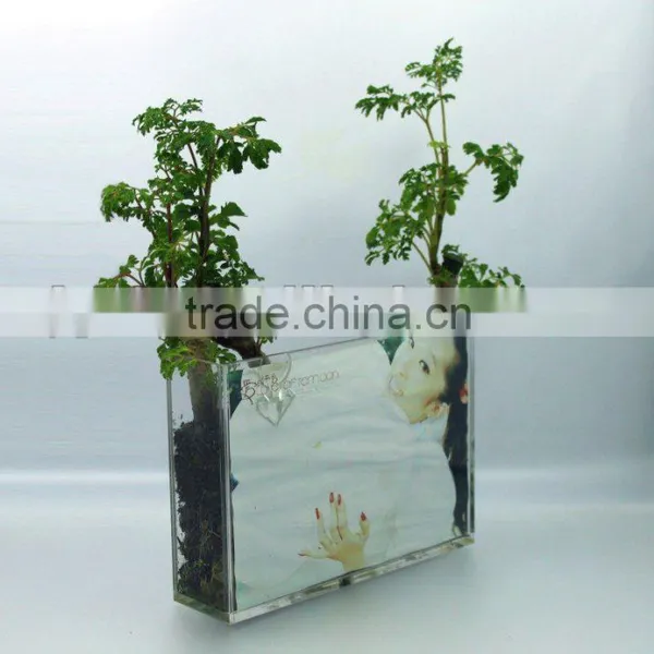 Cube Acrylic Vase Fillers