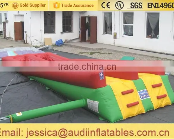 Inflatable Twin Lane Water Slide on Land for Sale photo-5