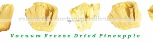 Thailand Dried Fruit - Vacuum Freeze Dried Pineapple Bulks " Sapalot " [ High Quality Dried Fruit Snack From Thailand ] photo-3