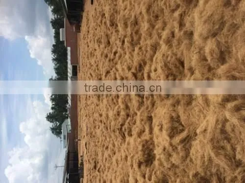 Coconut Fiber Making Equipments Prodcuing Fiber Opening Machine photo-6