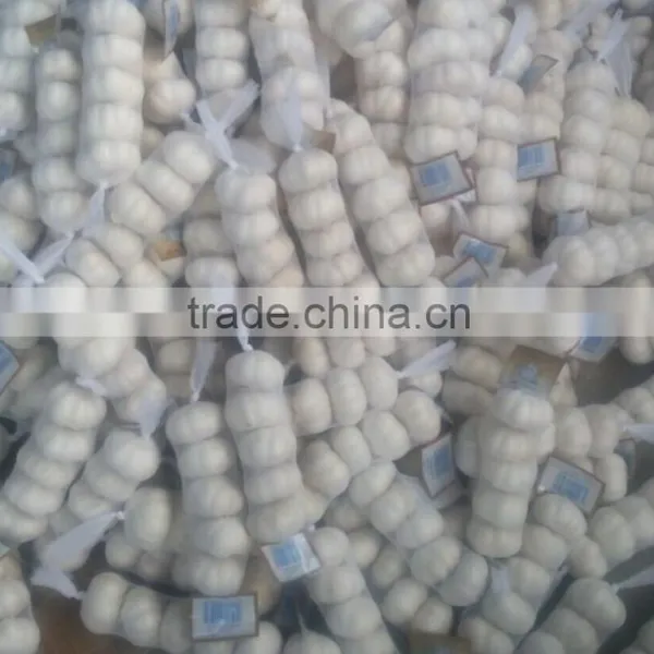 2014 Fresh Garlic , Jinxiang Garlic Normal White and Pure White photo-2
