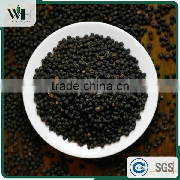 Vietnam Best Herb - Black Pepperseed 550gl 500gl With Good Price