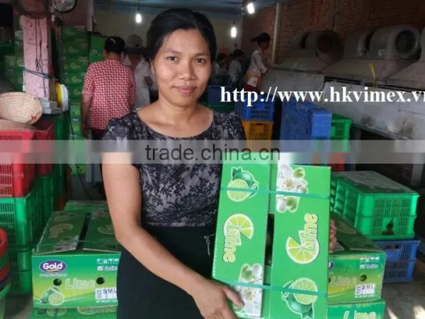 Fresh Lime / Lemon Vietnam photo-4