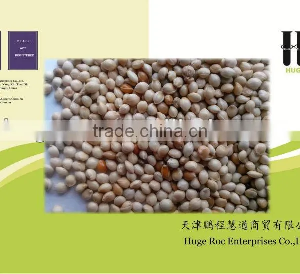 Hulled Millets