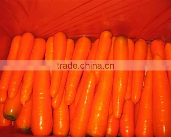 Fresh Carrot 9kg Carton photo-2
