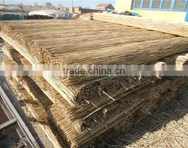 Electrical Drive Any Width Make by Order Rush Stalk Screen Machine photo-6