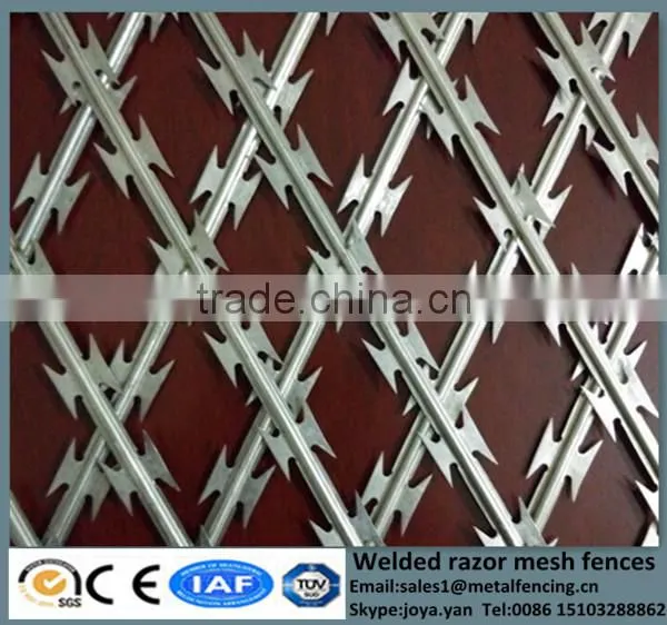 China Factory Suppling Diamond Hole 1.2m to 2.4m Width Anti Climb Hot Dip Galvanized Solid Steel Frame Welded Razor Mesh Fencing photo-5