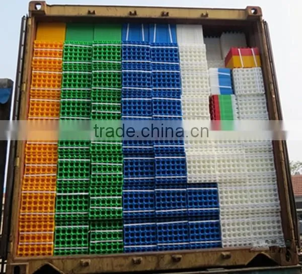 Good Price Commerical Transport Chicken Eggs Plastic Tray photo-4