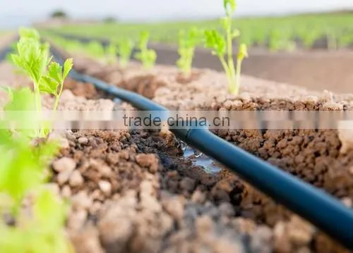 Micro Irrigation System photo-3