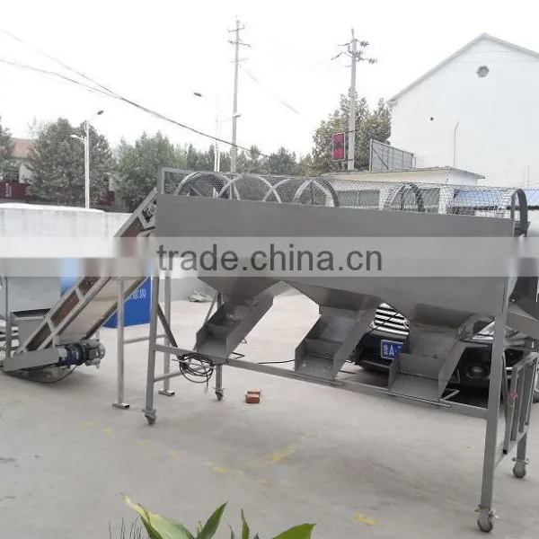 Industrial Garlic Peeling and Grading Machine +8618637188608 photo-3