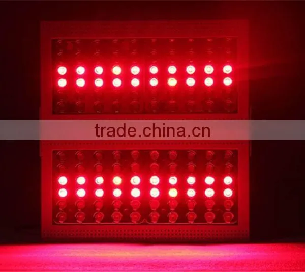 Plant Growing Diasy Chain Led Light High Lumen 300w Led Grow Light photo-4