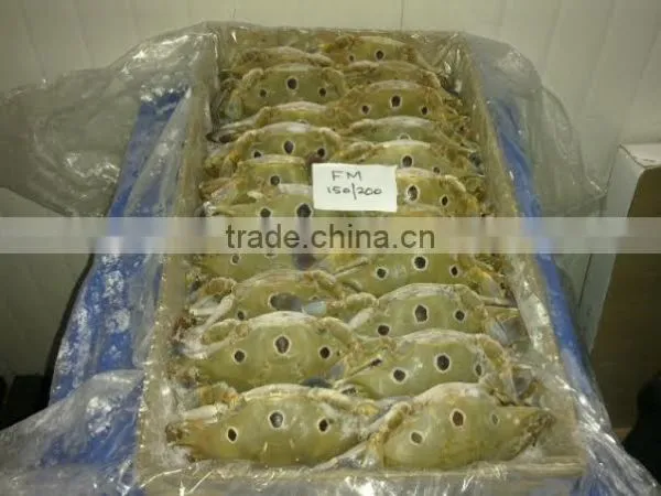 Three Sport Crab photo-2
