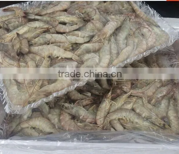 HL002 Frozen Pud Sea Catch Shrimp From China photo-6