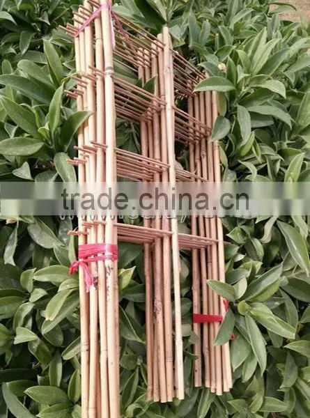 Factory Direct Sale Bamboo Cane Trellis /holding Bamboo Trellis/make Bamboo Garden Trellis photo-2