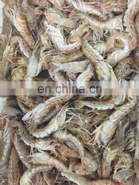 FROZEN MUD SHRIMP WHOLE ROUND photo-4