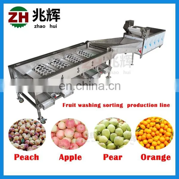 Wholesale Automatic Kiwi Sorting Machine Fruit Grader photo-3