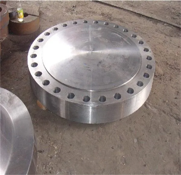 Astm A182 F316/316l/316h Tube Sheet Flange For V Band Clamps photo-5