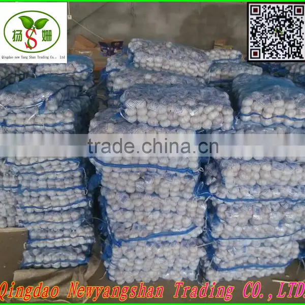 Not the Best;Only Better!Pure White Garlic/white Garlic Exports photo-2