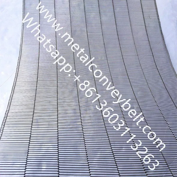 Stainless Steel Wire Mesh Ladder Conveyor Belt for Egg Transportation photo-4