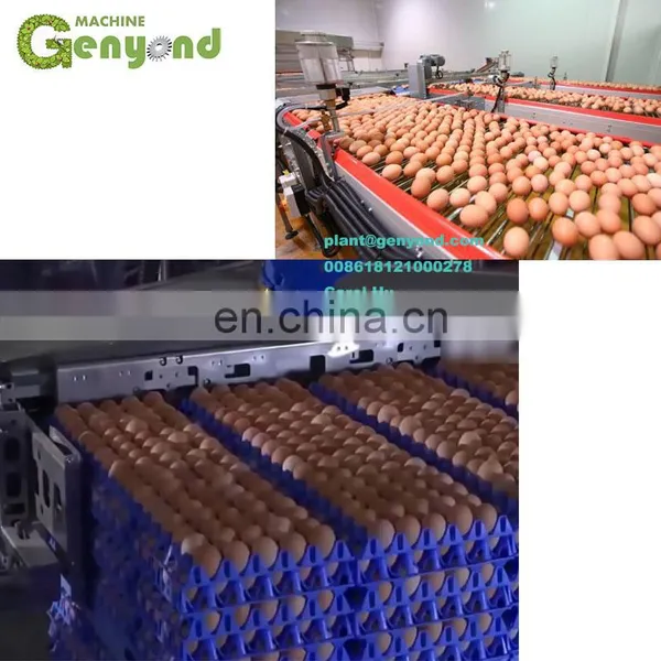Factory Direct Supplier Electronic Automatic Egg Sorting Machine photo-5