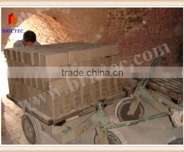 Auto Linea de Produccion de Ladrillo Con Horno Automatic Hollow Brick Making Machine photo-5